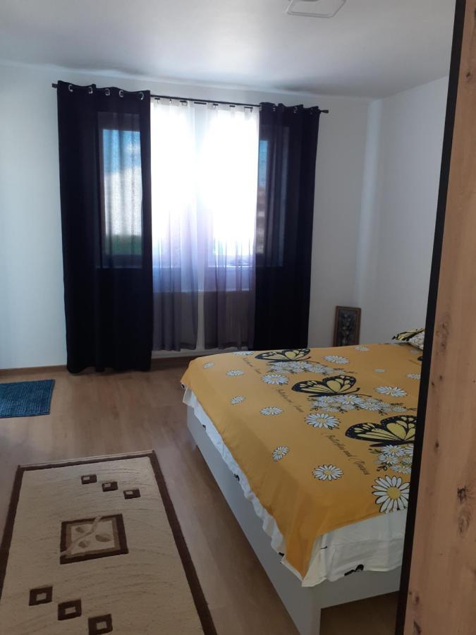 Casa Dana Apartment Sibiu Exterior photo